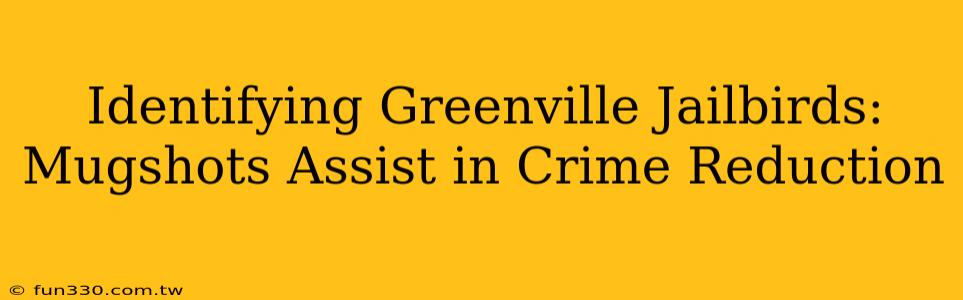 Identifying Greenville Jailbirds: Mugshots Assist in Crime Reduction