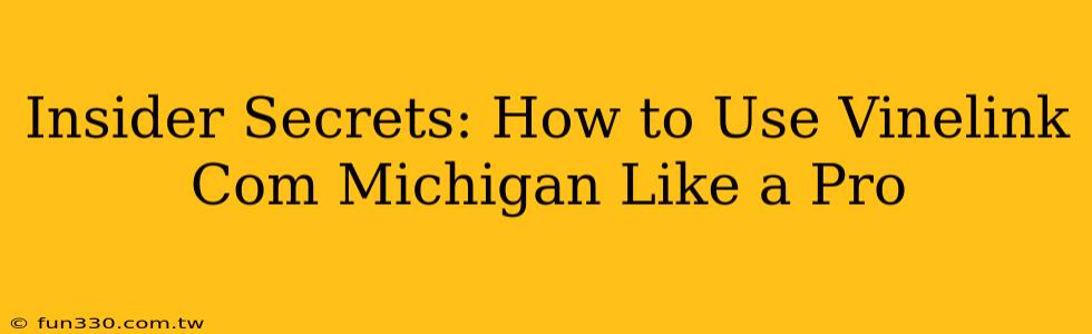 Insider Secrets: How to Use Vinelink Com Michigan Like a Pro