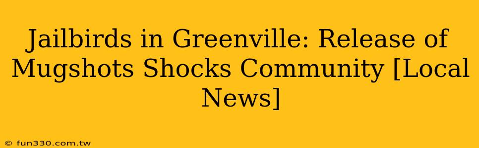 Jailbirds in Greenville: Release of Mugshots Shocks Community [Local News]