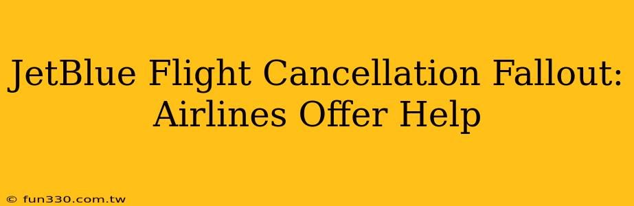 JetBlue Flight Cancellation Fallout: Airlines Offer Help