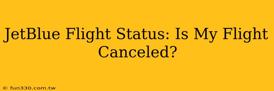 JetBlue Flight Status: Is My Flight Canceled?