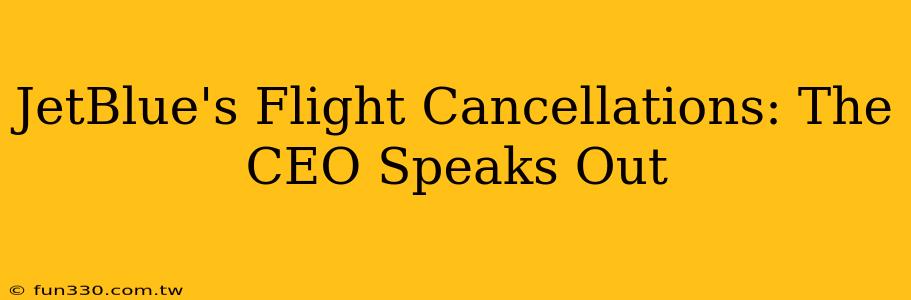 JetBlue's Flight Cancellations: The CEO Speaks Out