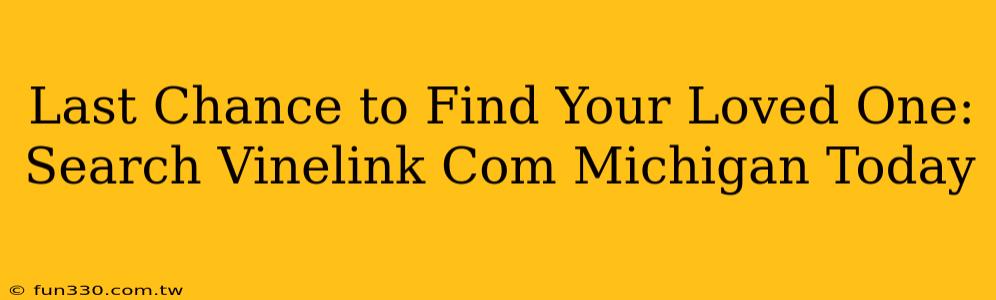 Last Chance to Find Your Loved One: Search Vinelink Com Michigan Today