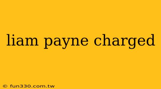 liam payne charged