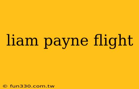 liam payne flight