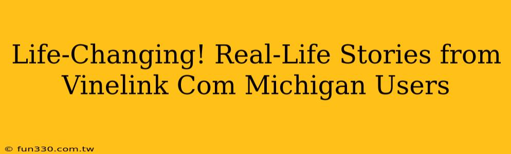 Life-Changing! Real-Life Stories from Vinelink Com Michigan Users