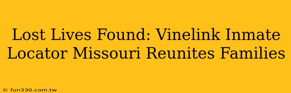 Lost Lives Found: Vinelink Inmate Locator Missouri Reunites Families