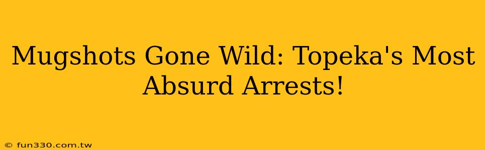 Mugshots Gone Wild: Topeka's Most Absurd Arrests!