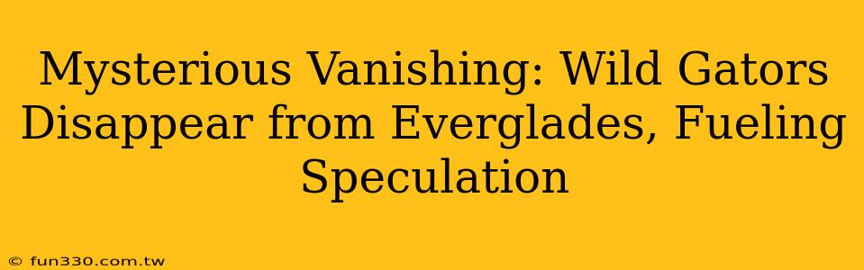 Mysterious Vanishing: Wild Gators Disappear from Everglades, Fueling Speculation
