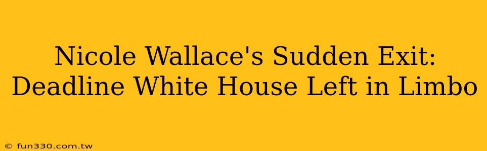 Nicole Wallace's Sudden Exit: Deadline White House Left in Limbo