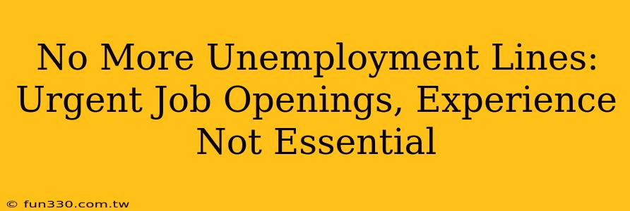 No More Unemployment Lines: Urgent Job Openings, Experience Not Essential