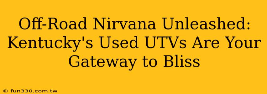 Off-Road Nirvana Unleashed: Kentucky's Used UTVs Are Your Gateway to Bliss
