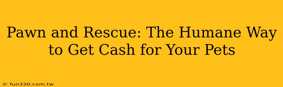 Pawn and Rescue: The Humane Way to Get Cash for Your Pets