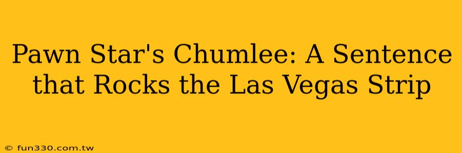 Pawn Star's Chumlee: A Sentence that Rocks the Las Vegas Strip