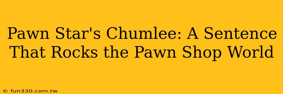 Pawn Star's Chumlee: A Sentence That Rocks the Pawn Shop World