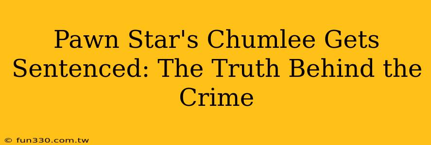 Pawn Star's Chumlee Gets Sentenced: The Truth Behind the Crime