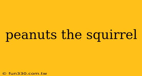 peanuts the squirrel