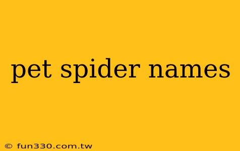 pet spider names