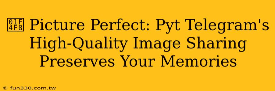 📸 Picture Perfect: Pyt Telegram's High-Quality Image Sharing Preserves Your Memories