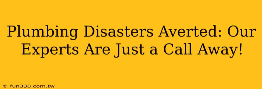 Plumbing Disasters Averted: Our Experts Are Just a Call Away!