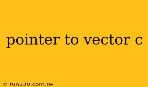 pointer to vector c