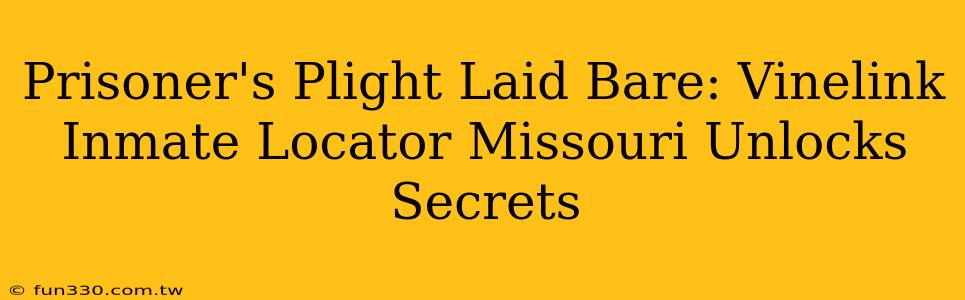 Prisoner's Plight Laid Bare: Vinelink Inmate Locator Missouri Unlocks Secrets