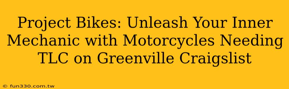 Project Bikes: Unleash Your Inner Mechanic with Motorcycles Needing TLC on Greenville Craigslist