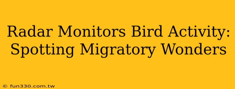 Radar Monitors Bird Activity: Spotting Migratory Wonders