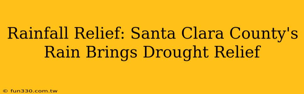 Rainfall Relief: Santa Clara County's Rain Brings Drought Relief