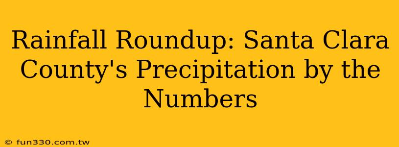 Rainfall Roundup: Santa Clara County's Precipitation by the Numbers