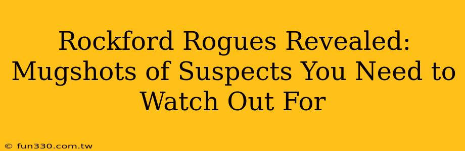 Rockford Rogues Revealed: Mugshots of Suspects You Need to Watch Out For