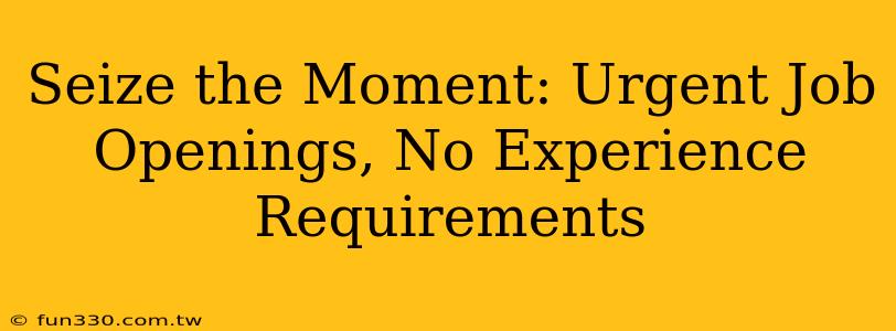 Seize the Moment: Urgent Job Openings, No Experience Requirements