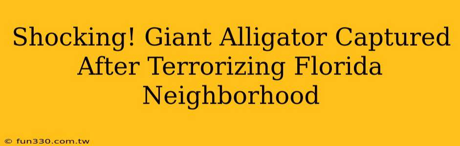 Shocking! Giant Alligator Captured After Terrorizing Florida Neighborhood