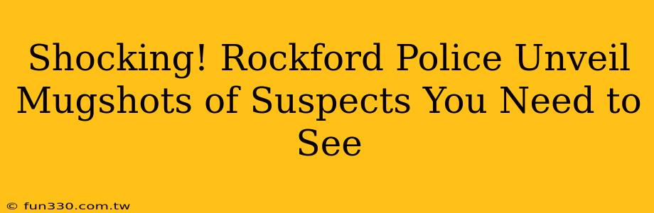 Shocking! Rockford Police Unveil Mugshots of Suspects You Need to See