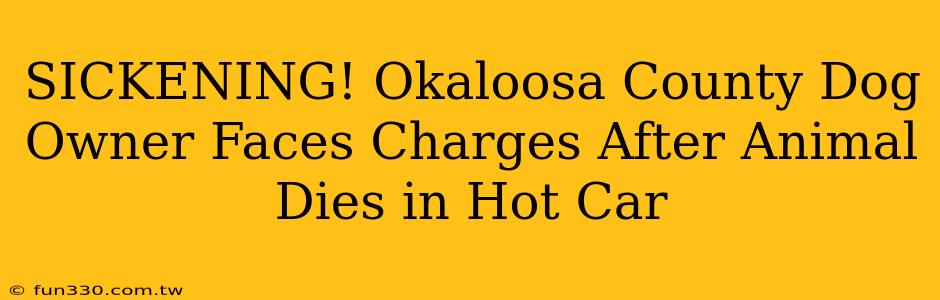 SICKENING! Okaloosa County Dog Owner Faces Charges After Animal Dies in Hot Car