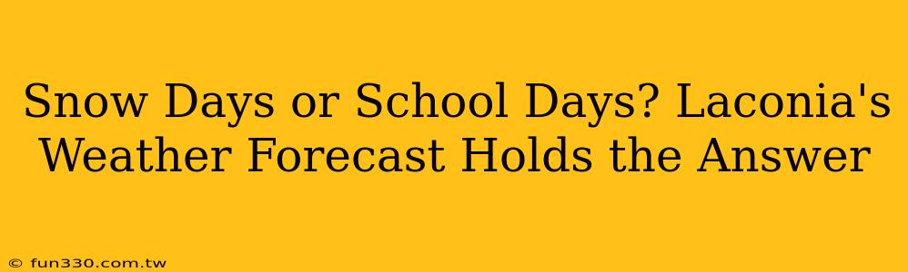 Snow Days or School Days? Laconia's Weather Forecast Holds the Answer