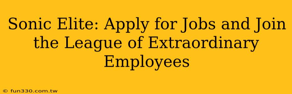 Sonic Elite: Apply for Jobs and Join the League of Extraordinary Employees