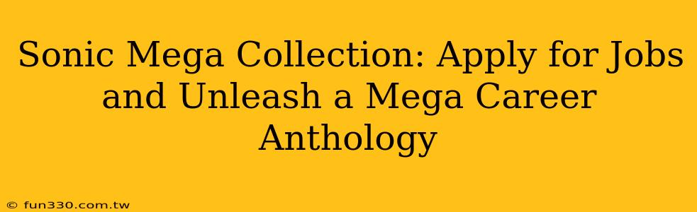 Sonic Mega Collection: Apply for Jobs and Unleash a Mega Career Anthology