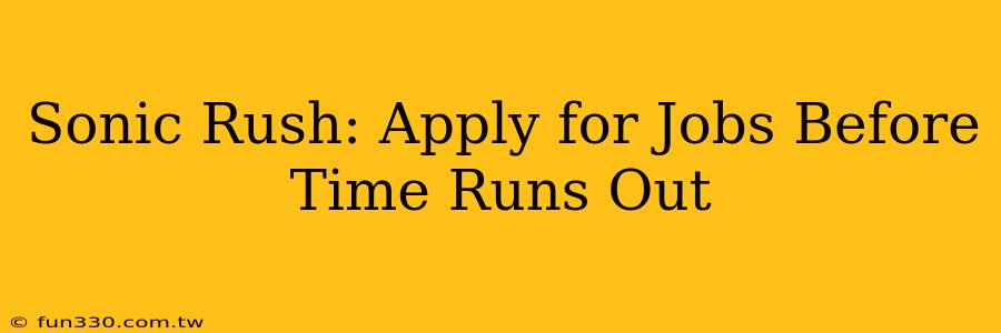 Sonic Rush: Apply for Jobs Before Time Runs Out