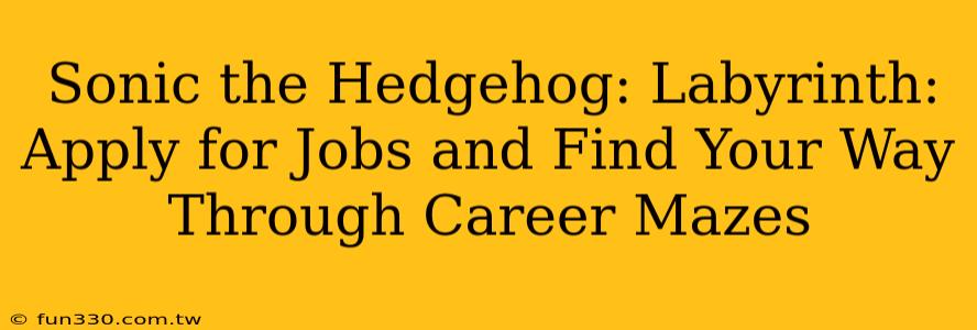 Sonic the Hedgehog: Labyrinth: Apply for Jobs and Find Your Way Through Career Mazes