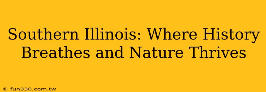 Southern Illinois: Where History Breathes and Nature Thrives