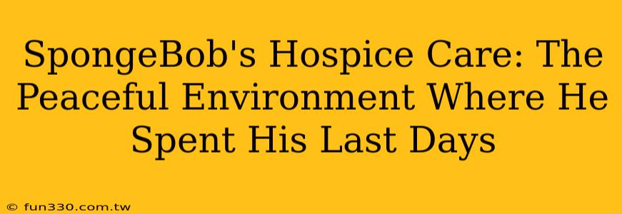 SpongeBob's Hospice Care: The Peaceful Environment Where He Spent His Last Days