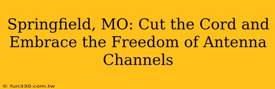 Springfield, MO: Cut the Cord and Embrace the Freedom of Antenna Channels