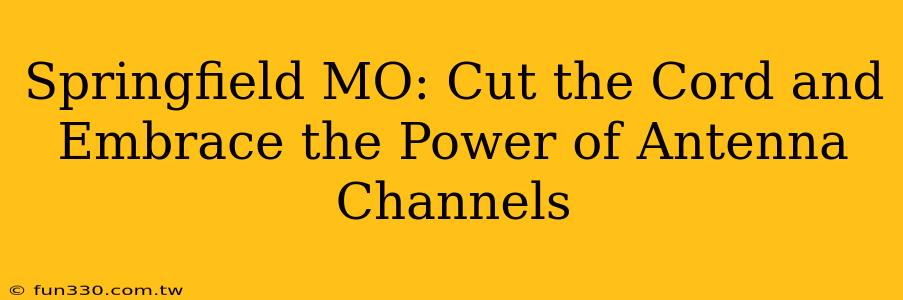 Springfield MO: Cut the Cord and Embrace the Power of Antenna Channels