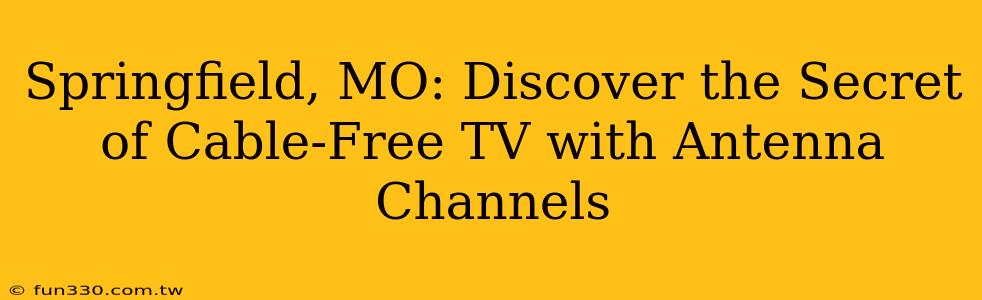 Springfield, MO: Discover the Secret of Cable-Free TV with Antenna Channels