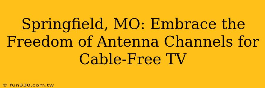 Springfield, MO: Embrace the Freedom of Antenna Channels for Cable-Free TV