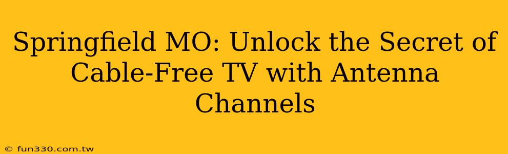 Springfield MO: Unlock the Secret of Cable-Free TV with Antenna Channels