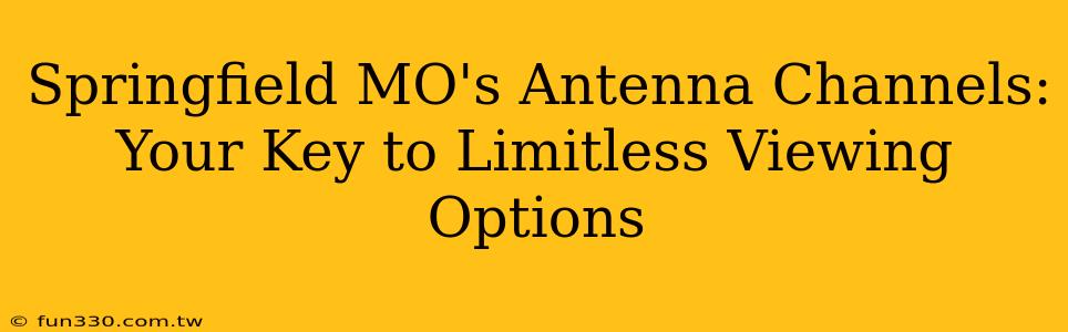 Springfield MO's Antenna Channels: Your Key to Limitless Viewing Options