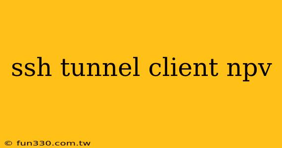 ssh tunnel client npv