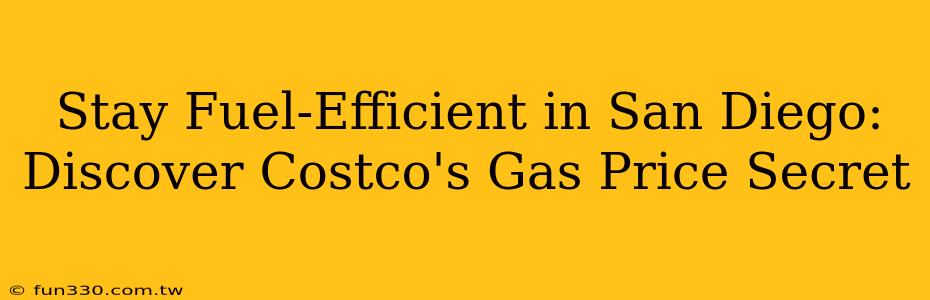 Stay Fuel-Efficient in San Diego: Discover Costco's Gas Price Secret